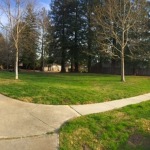 Round Tree Park